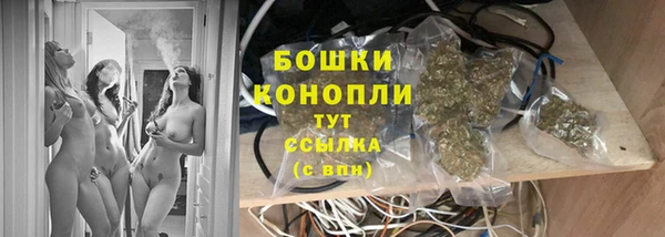 кокс Богородицк