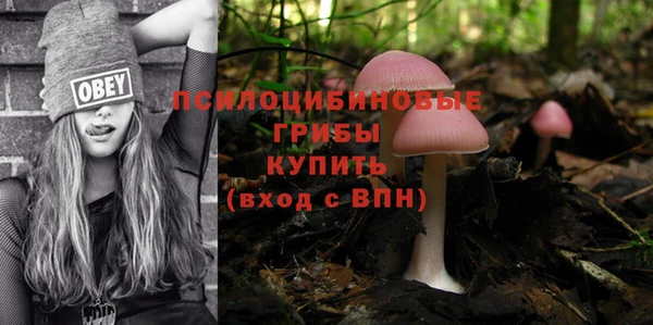 кристаллы Богданович