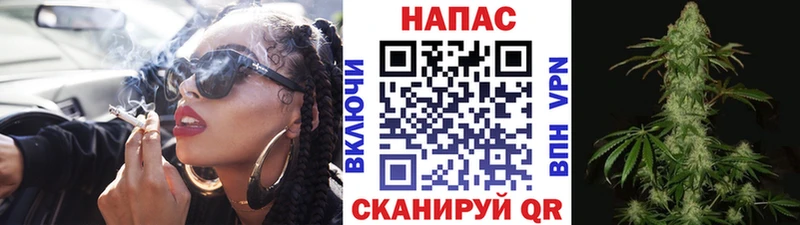 Конопля марихуана Красноармейск